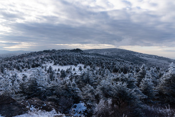 Fototapeta na wymiar Mount Rogers, Virginia in the Winter