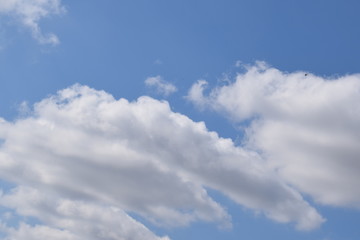 
Natural background of the sky and clouds