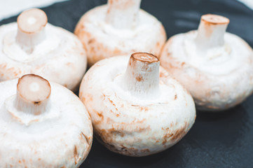 Porcini mushrooms lying washed on a dark stone surface, whole legs up.