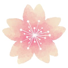 桜の花　水彩風イラスト素材