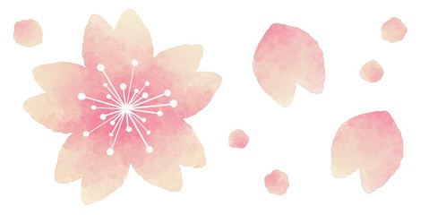 桜の花　飾り　水彩風イラスト