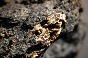 textura roca