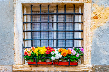 Fototapeta na wymiar Venice, Italy. Pretty and colorful flowers potted plants on glass & wooden window sill. Venetian home, apartment, house, residence with iconic cultural tradition. Small town village in European city.