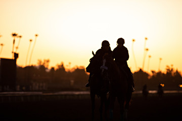 Fototapeta na wymiar racehorse and pony silhouette