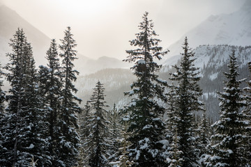 Frozen Banff