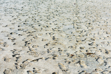 Random foot steps from shoes on sandy beach