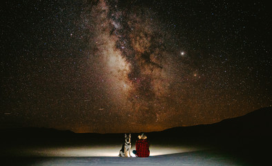 Milky Way with Mans Best Friend
