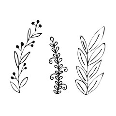 Hand drawn simple floral set vector illustration. Simple elements for design.