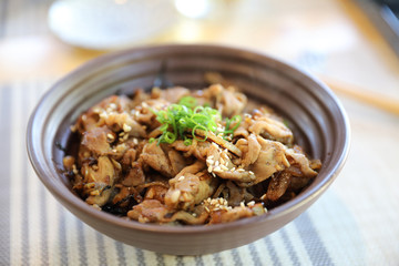 Gyudon , Japanese beef rice bowl in close up Japanese local food