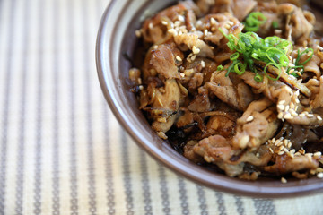 Gyudon , Japanese beef rice bowl in close up Japanese local food