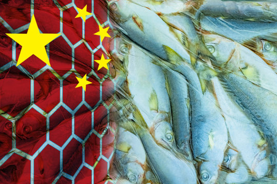 Frozen Fish On The Background Of The Chinese Flag. Chinese Fishing Industry. Seafood Supplies From China. Chinese Food Industry. Fishing. Fish Semi-finished Products.