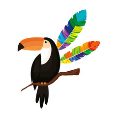 toucan animal with exotic feathers © Gstudio