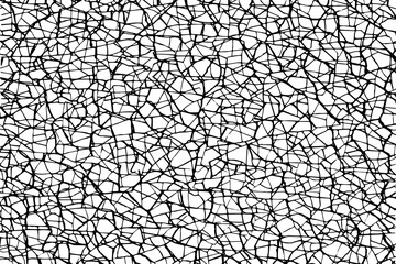 The cracks texture white and black. Vector background.Cracked earth. Structure of cracking. shards