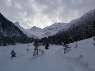 winter in the mountains