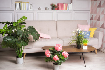 Stylish interior of living room with small design table, sofa and many plants.