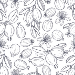  Hand drawn feijoa plant.  Feijoa fruits with leaves. Vector seamless pattern.