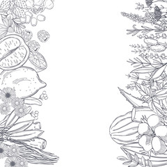  Organic cosmetics background. Plants  for medicine and  natural cosmetics. Vector sketch  illustration.