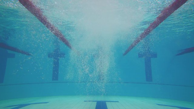 Young professional man swimmer jumping into the water and swims in the pool, training in water, underwater view.