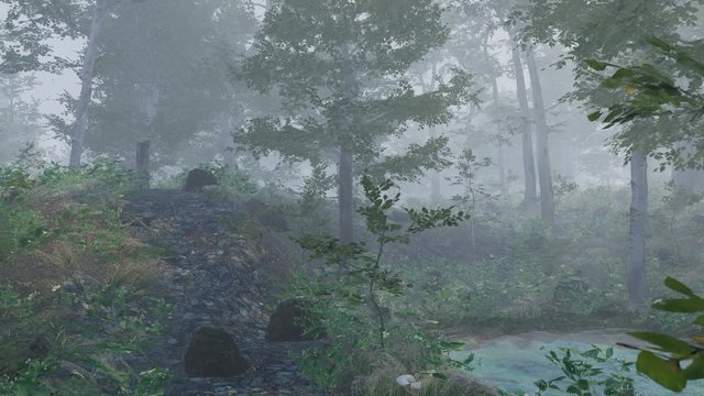 雨の日に森の小径の上を飛ぶ