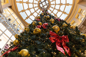 Weihnachtsbaum