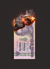 Bhat Burning Cash Note