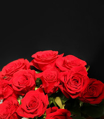 Beautiful bouquet of red roses on a dark background