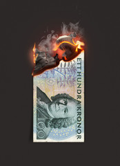 Kronor Burning Cash Note