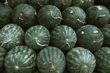 Exotic fruit watermelon in Thailand in the city of Bangkok. Market with different fruits. Green Juicy Sweet Watermelon