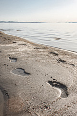 antelope island