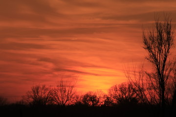 Fototapeta na wymiar Sunset with an orange and yellow sky north of Hutchinson Kansas USA.