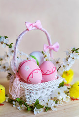 Easter Eggs and Blooming Spring Flowers 