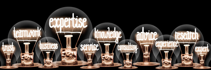Light Bulbs with Expertise Concept