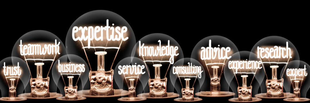 Light Bulbs with Expertise Concept