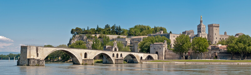  Pont d'Avignon and the Palace of the Popes