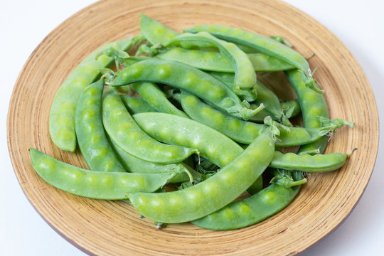 705 Best 絹さや Images Stock Photos Vectors Adobe Stock