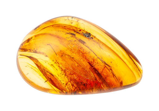 polished Amber gem with inclusions isolated