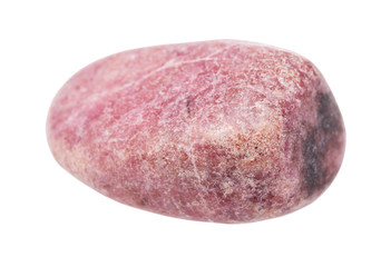 polished Rhodonite gemstone isolated on white