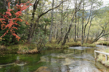 Beautiful crystal clear water river landscape with mountain background in Japan Alps Kamikochi, Nagano, Japan