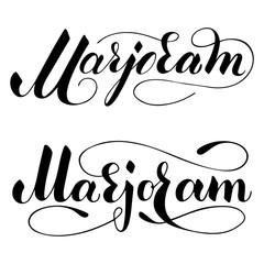 Vector hand written marjoram text isolated on white background. Kitchen healthy herbs and spices for cooking. Script brushpen lettering with flourishes. Handwriting for banner, poster, product label