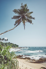 Plakaty  Tropikalna plaża z palmą kokosową, zastosowano tonację w kolorach retro, Sri Lanka.