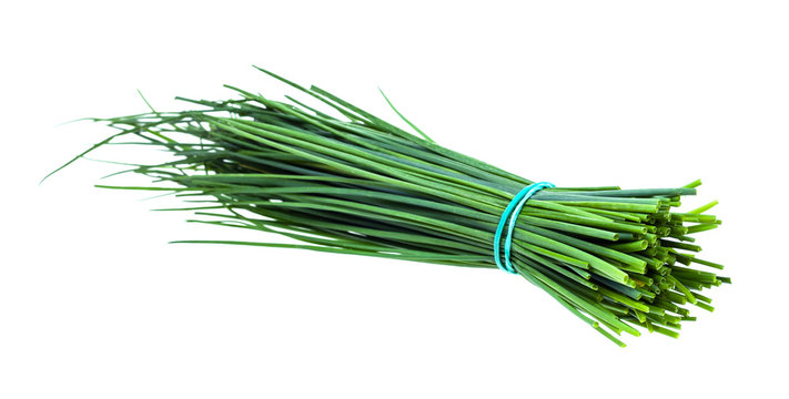 bundle of fresh leaves of Chives isolated on white
