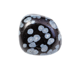 tumbled Snowflake Obsidian gem stone isolated