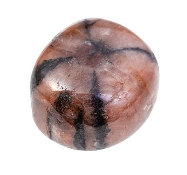 polished Chiastolite gemstone isolated on white