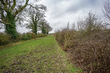 Fototapeta na wymiar Walking the Boudica Way in the county of Norfolk