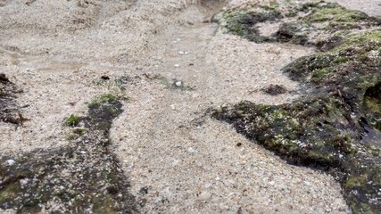 Sand beach with abstract texture