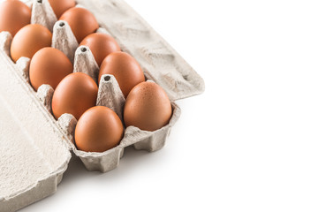 Fresh chicken eggs in pater tray isolated on white background