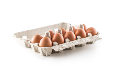 Fresh chicken eggs in pater tray isolated on white background