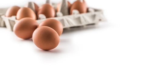Fresh chicken eggs in pater tray isolated on white background