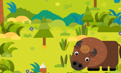 cartoon forest scene with wild animal bison buffalo illustration for children