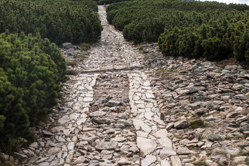 Stone path in the Krkonose/ Giant Mountains national park, Czech republic/Poland borders